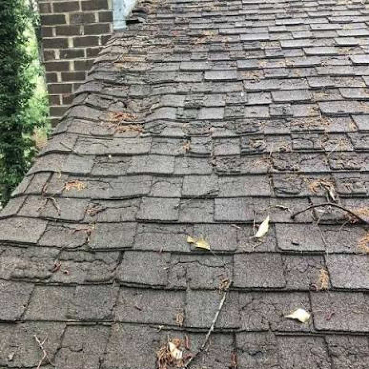 roof replacement contractors davie fl